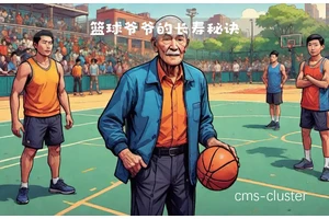 如何通过总结保持老年篮球爱好者的竞技状态?